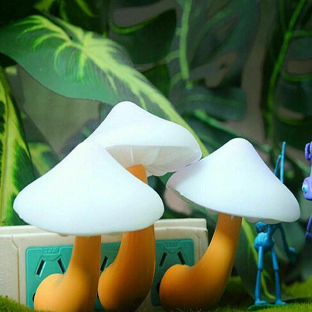 Mushroom Night Light LED With Automatic Sensor (Choose Color) - Ganesha's Market