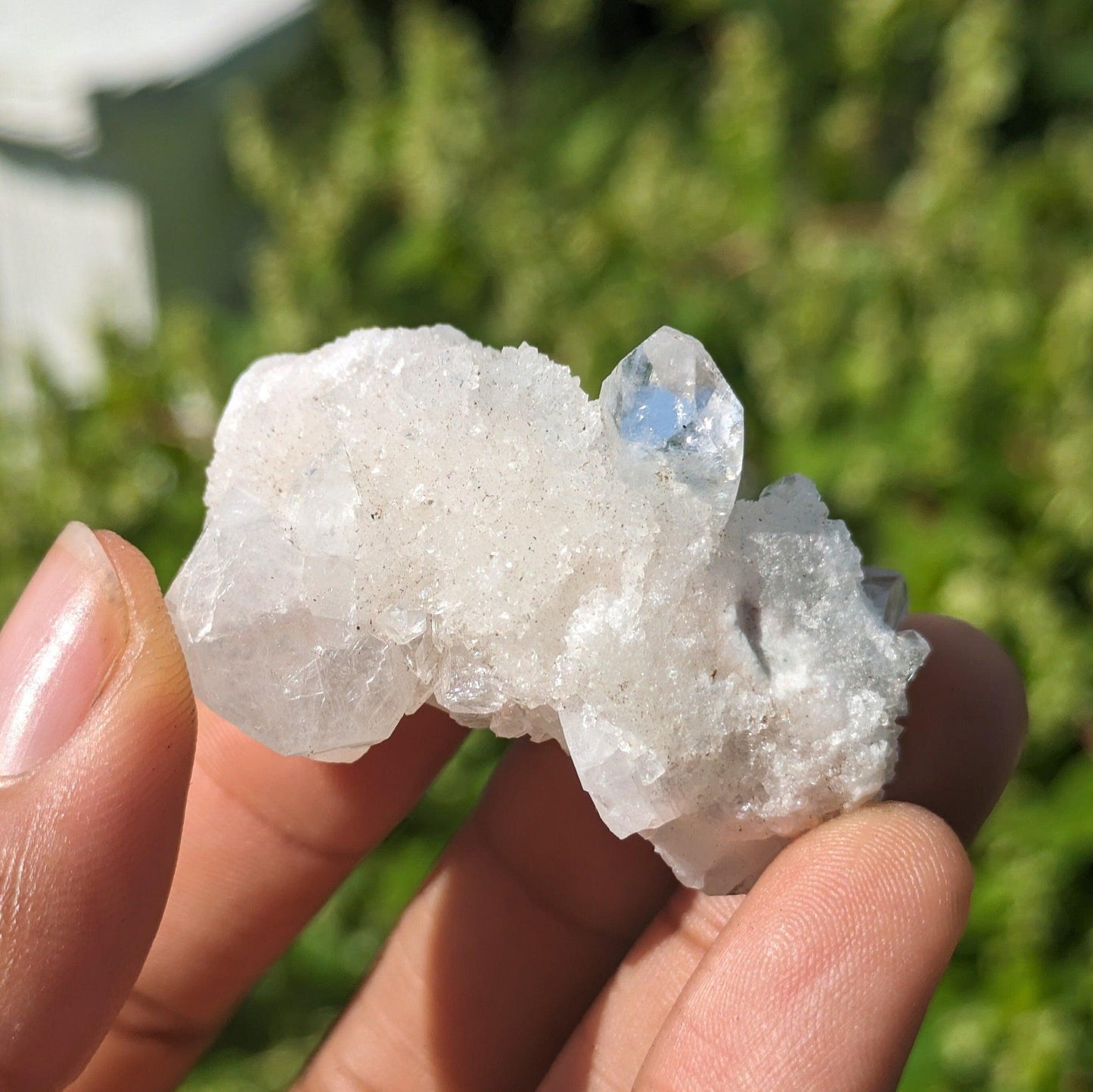 Apophyllite Crystal Cluster