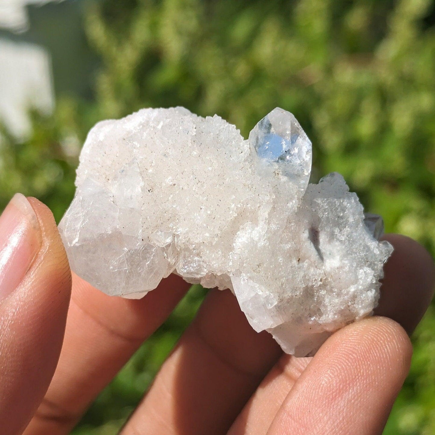 Apophyllite Crystal Cluster